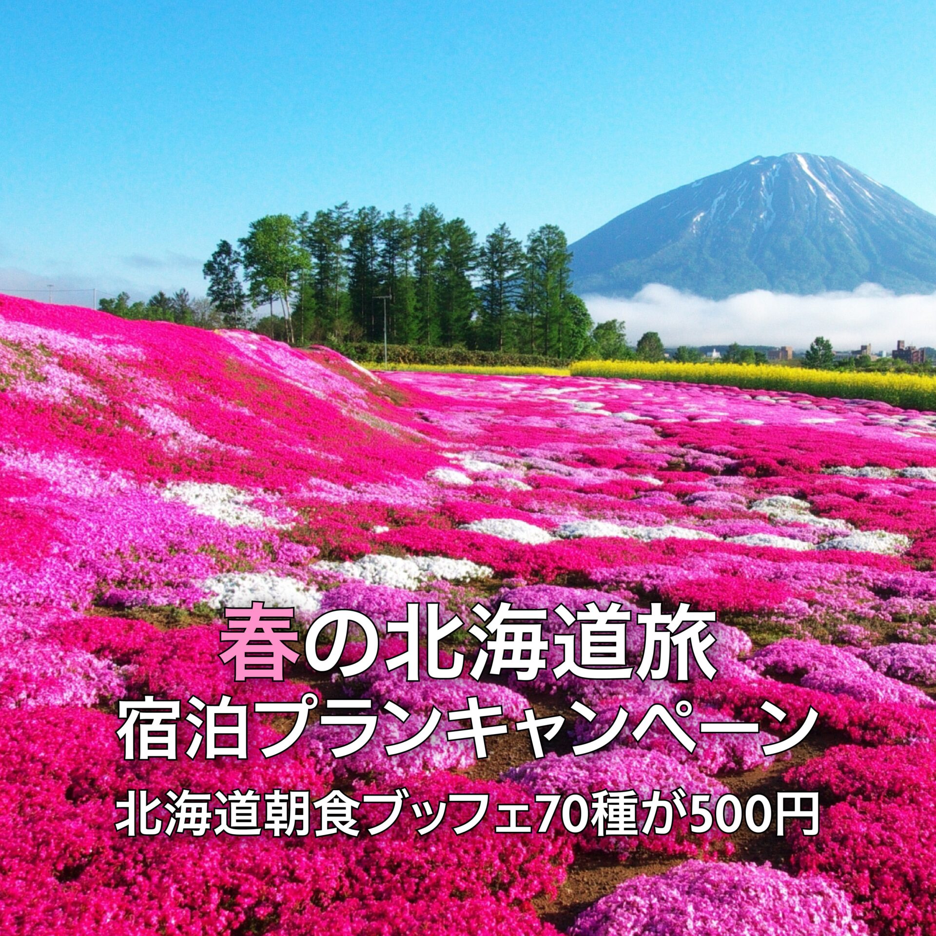 【春の北海道旅 宿泊プランキャンペーン】70種朝食ブッフェが500円表示