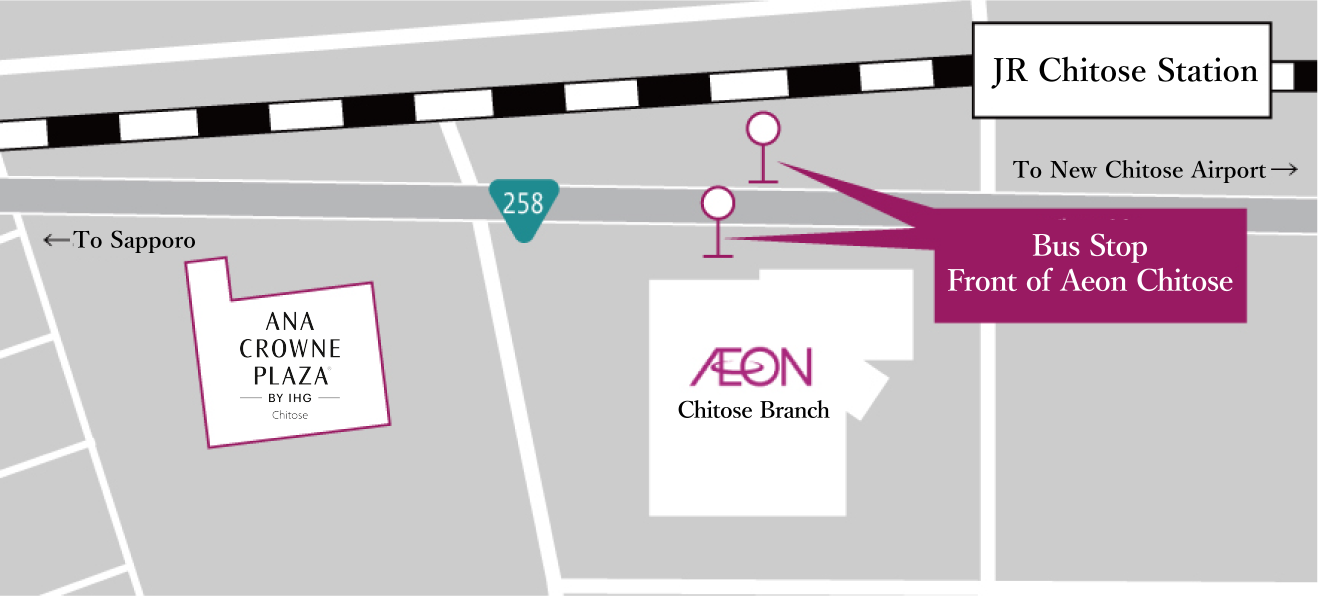 City Bus Information