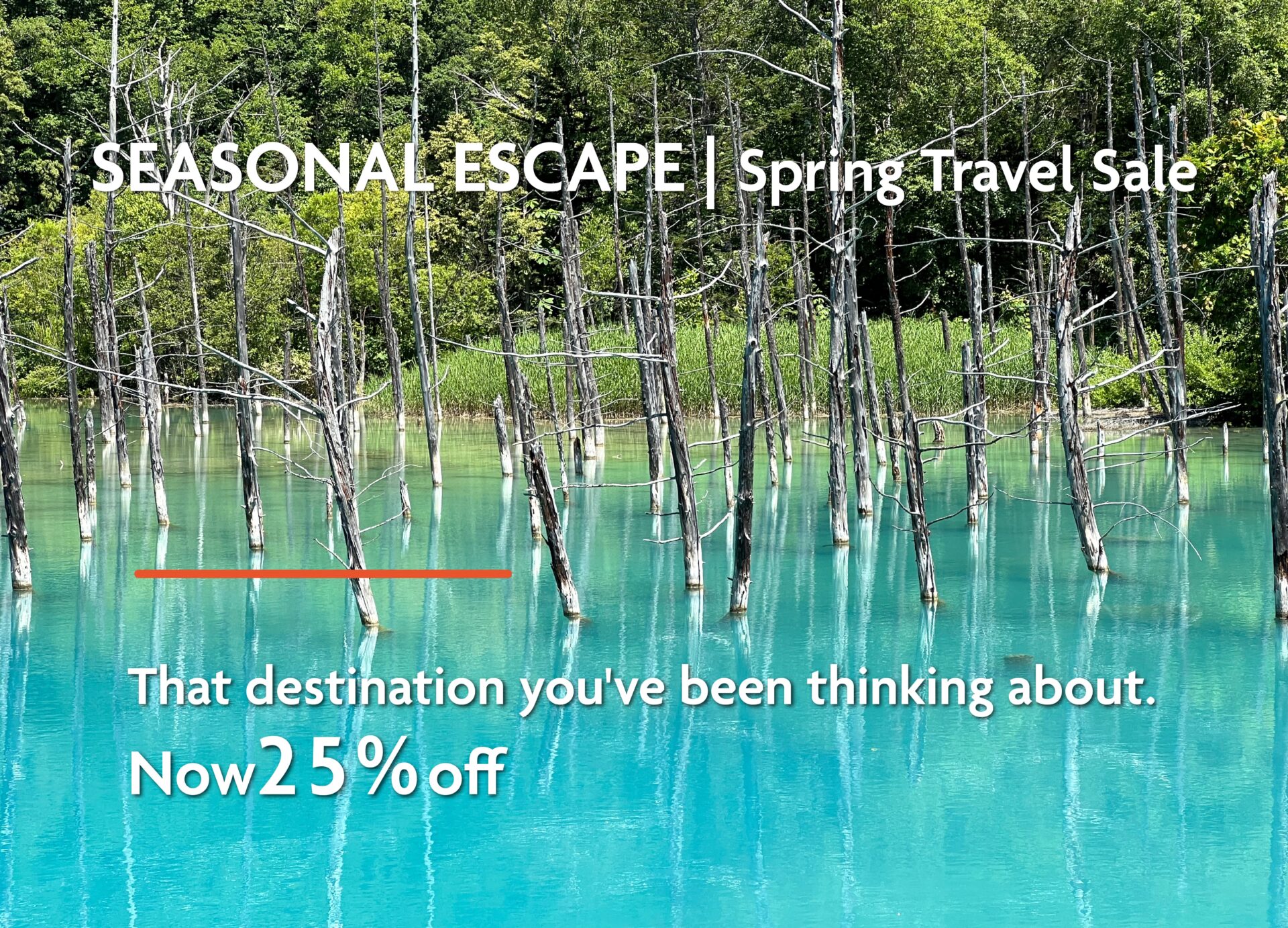[Seasonal Escape] Spring Travel Sale | Up to 20% off and great deals on stays through August (prepayment required, non-refundable)